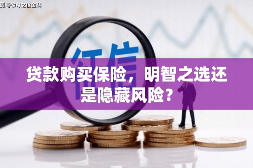 平潭贷款购买保险，明智之选还是隐藏风险？