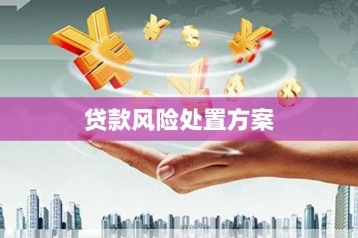 平潭贷款风险处置方案