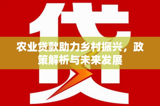 平潭农业贷款助力乡村振兴，政策解析与未来发展