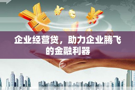 平潭企业经营贷，助力企业腾飞的金融利器