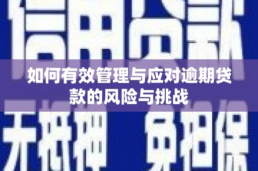 平潭如何有效管理与应对逾期贷款的风险与挑战