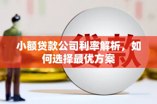 平潭小额贷款公司利率解析，如何选择最优方案