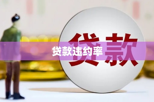平潭贷款违约率