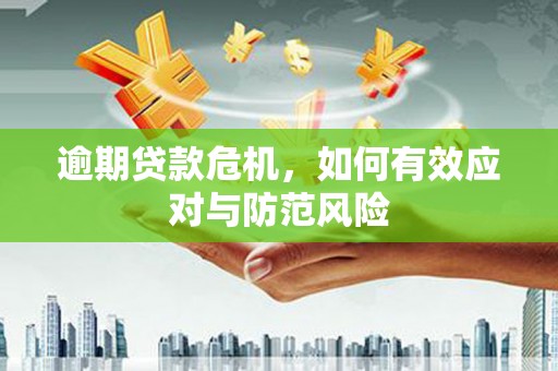 平潭逾期贷款危机，如何有效应对与防范风险