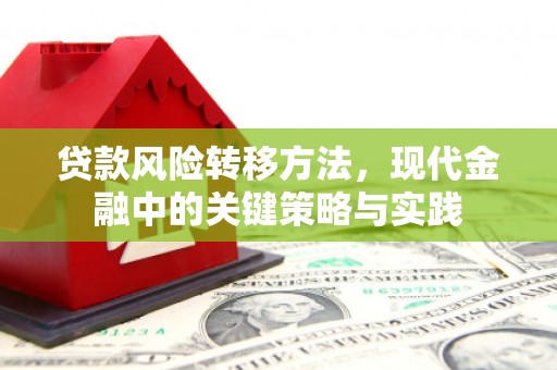 平潭贷款风险转移方法，现代金融中的关键策略与实践