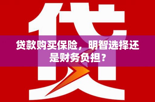 平潭贷款购买保险，明智选择还是财务负担？