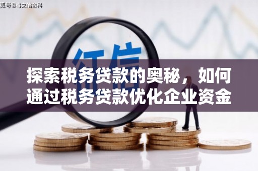 平潭探索税务贷款的奥秘，如何通过税务贷款优化企业资金流
