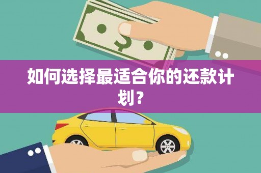 平潭如何选择最适合你的还款计划？