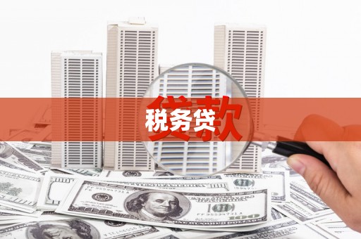 平潭税务贷