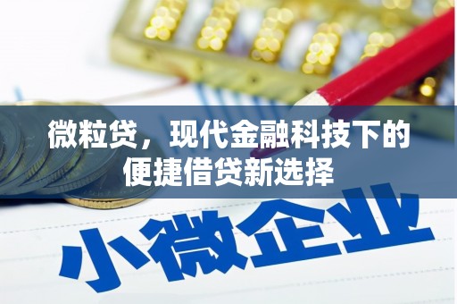 平潭微粒贷，现代金融科技下的便捷借贷新选择