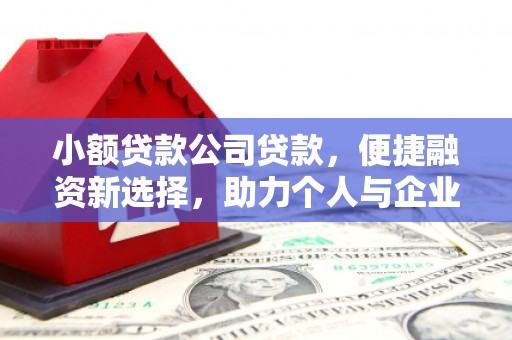 平潭小额贷款公司贷款，便捷融资新选择，助力个人与企业成长