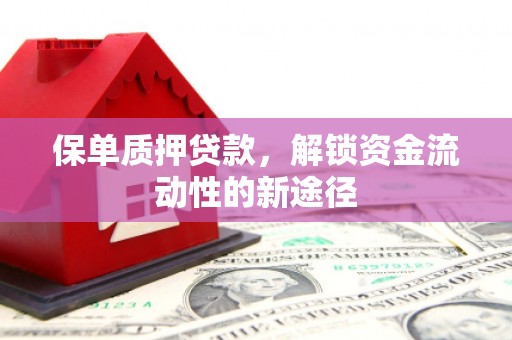 平潭保单质押贷款，解锁资金流动性的新途径