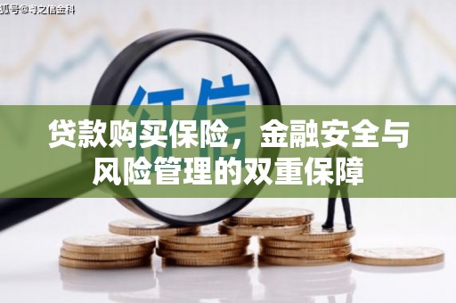 平潭贷款购买保险，金融安全与风险管理的双重保障