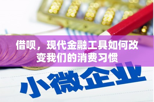 平潭借呗，现代金融工具如何改变我们的消费习惯