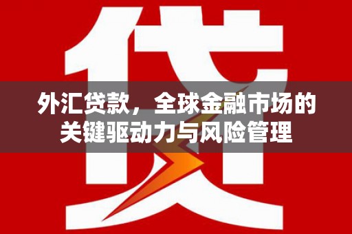平潭外汇贷款，全球金融市场的关键驱动力与风险管理