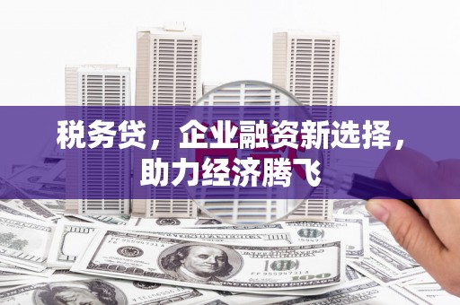平潭税务贷，企业融资新选择，助力经济腾飞