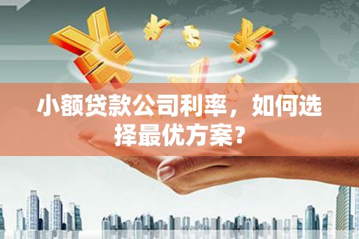 平潭小额贷款公司利率，如何选择最优方案？