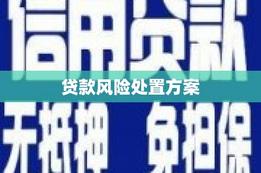 平潭贷款风险处置方案