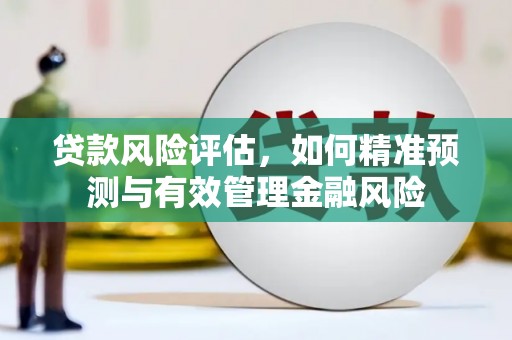平潭贷款风险评估，如何精准预测与有效管理金融风险