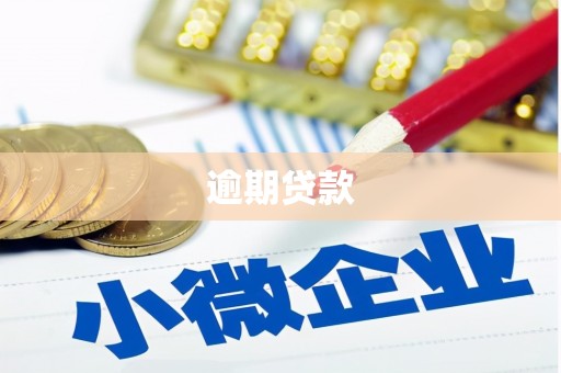 平潭逾期贷款