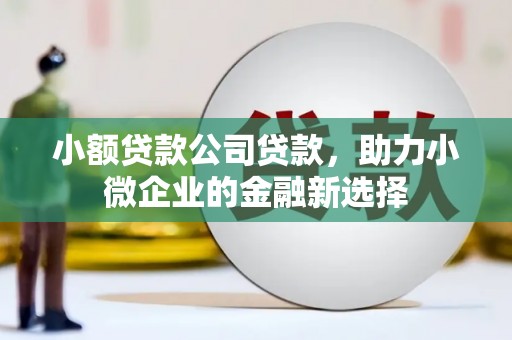 平潭小额贷款公司贷款，助力小微企业的金融新选择