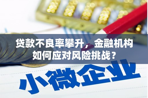 平潭贷款不良率攀升，金融机构如何应对风险挑战？