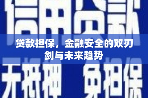 平潭贷款担保，金融安全的双刃剑与未来趋势