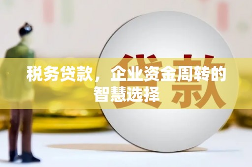 平潭税务贷款，企业资金周转的智慧选择