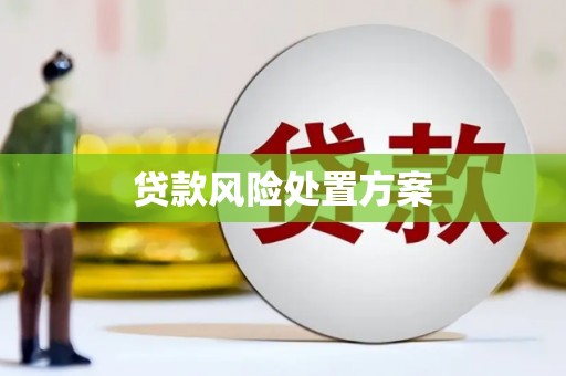 平潭贷款风险处置方案