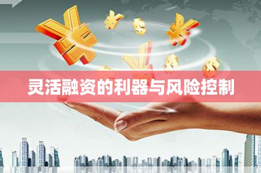 平潭灵活融资的利器与风险控制