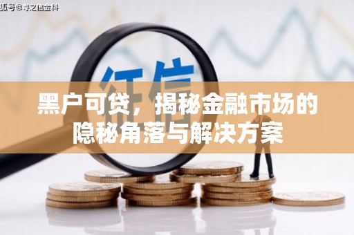 平潭黑户可贷，揭秘金融市场的隐秘角落与解决方案