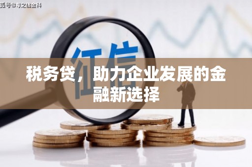 平潭税务贷，助力企业发展的金融新选择