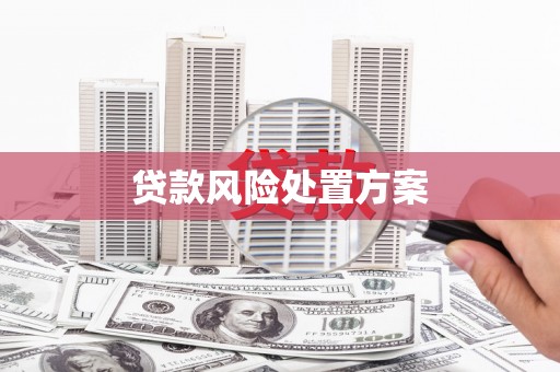 平潭贷款风险处置方案