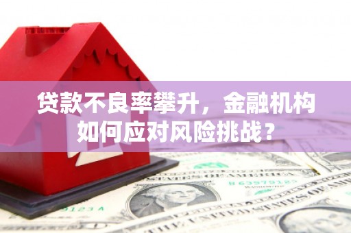 平潭贷款不良率攀升，金融机构如何应对风险挑战？