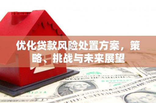平潭优化贷款风险处置方案，策略、挑战与未来展望