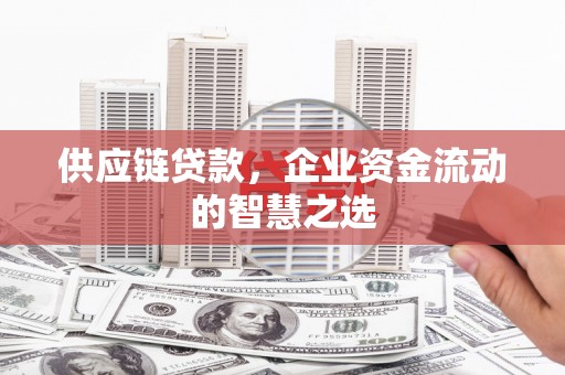 平潭供应链贷款，企业资金流动的智慧之选