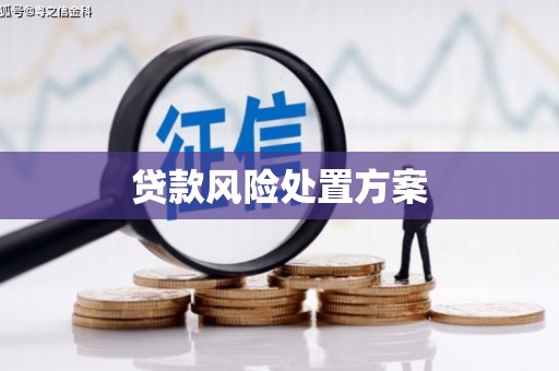 平潭贷款风险处置方案