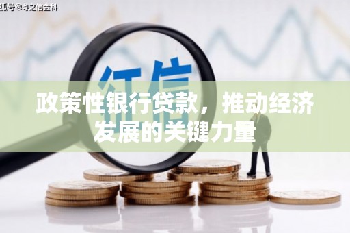 平潭政策性银行贷款，推动经济发展的关键力量