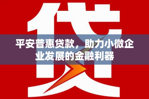 平潭平安普惠贷款，助力小微企业发展的金融利器