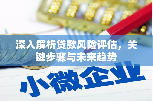 平潭深入解析贷款风险评估，关键步骤与未来趋势