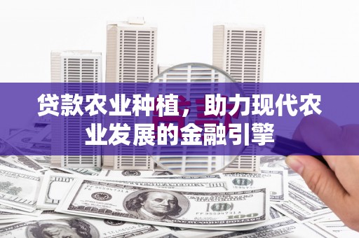 平潭贷款农业种植，助力现代农业发展的金融引擎