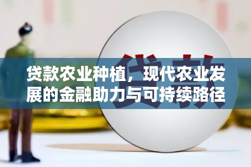 平潭贷款农业种植，现代农业发展的金融助力与可持续路径