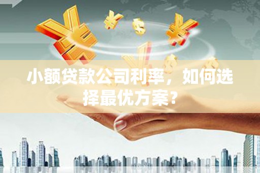 平潭小额贷款公司利率，如何选择最优方案？