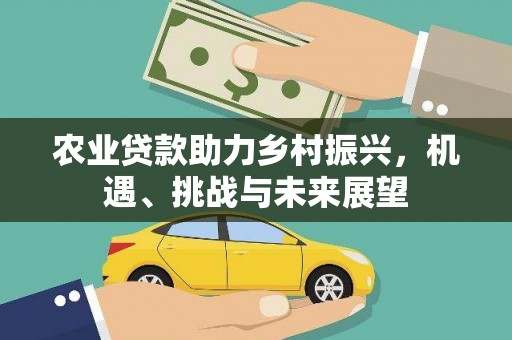 平潭农业贷款助力乡村振兴，机遇、挑战与未来展望