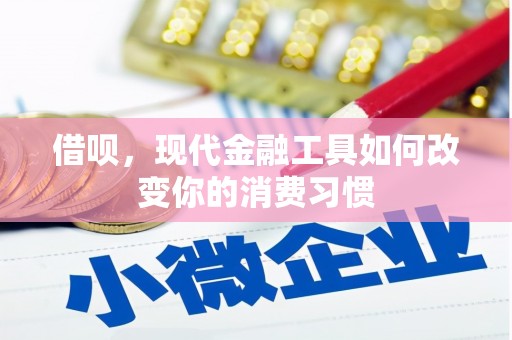 平潭借呗，现代金融工具如何改变你的消费习惯