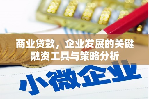 平潭商业贷款，企业发展的关键融资工具与策略分析