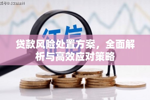 平潭贷款风险处置方案，全面解析与高效应对策略