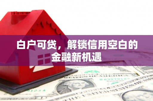 平潭白户可贷，解锁信用空白的金融新机遇