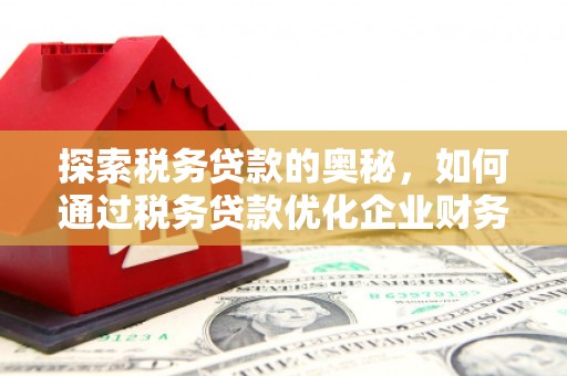 平潭探索税务贷款的奥秘，如何通过税务贷款优化企业财务