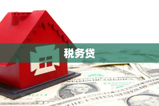 平潭税务贷
